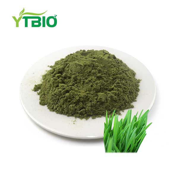 Organic Wheat Grass Juice Powder